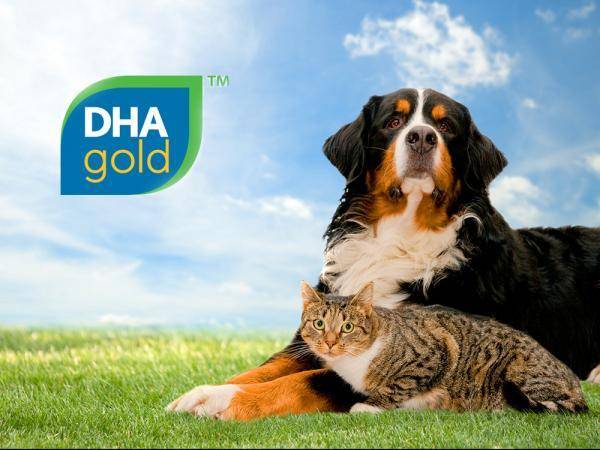 DHA gold™: een duurzame bron van DHA omega 3