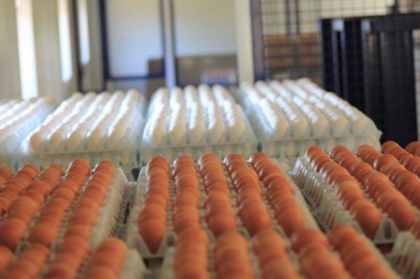Die Dreifache rolle von Rovimix Hyd für mehr Verkaufsfähige Eier