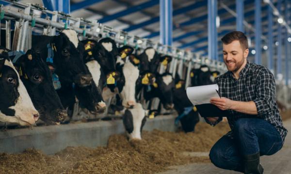 Duurzame innovatie uit de sector: reduceren van methaan emissies en verhogen van eiwitefficiëntie