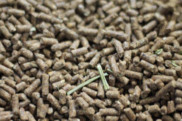 Pellet Quality manual: interventions with disappointing pellet quality 