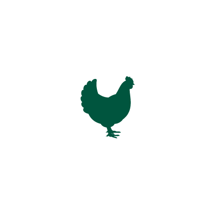 Broilers, undefined and